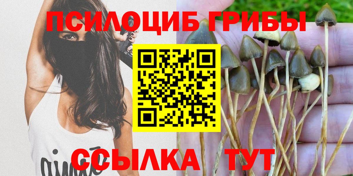 Галлюциногенные грибы мицелий Феодосия